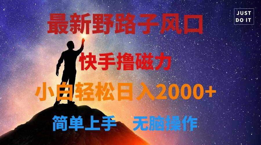 最新风口！快手撸磁力，野路子，小白无脑操作日入2000+-小艾项目网