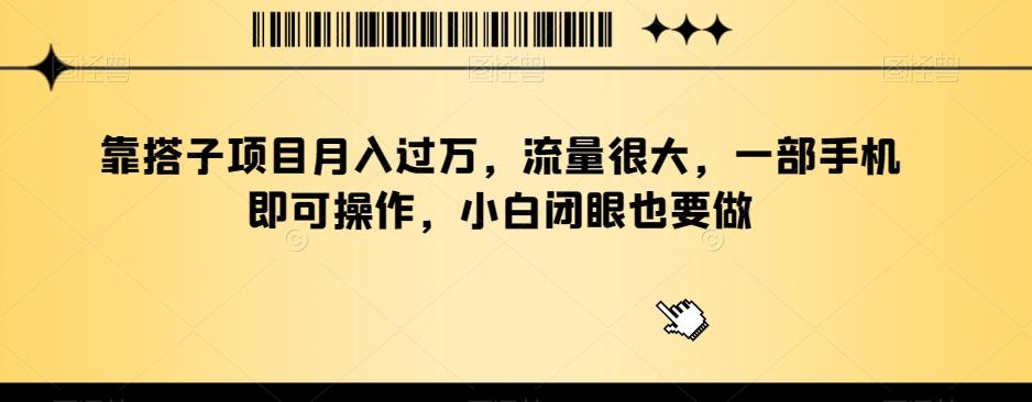 靠搭子项目月入过万，流量很大，一部手机即可操作，小白闭眼也要做-小艾项目网