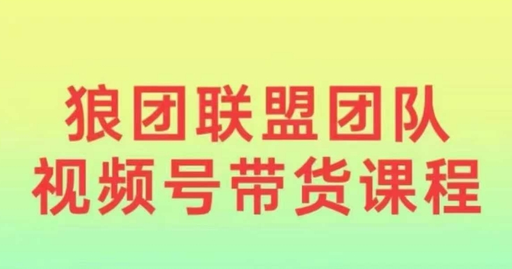 狼团联盟2024视频号带货，0基础小白快速入局视频号-小艾项目网