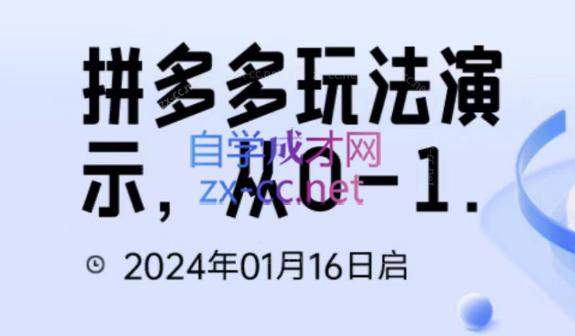 吴老师·拼多多从选品到截流到付费的玩法技巧-小艾项目网