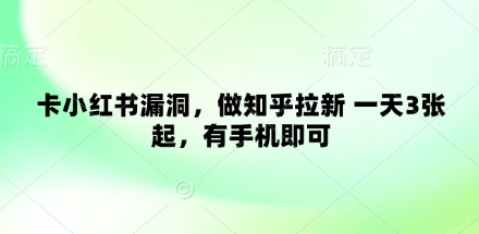 卡小红书漏洞，做知乎拉新 一天3张起，有手机即可-小艾项目网