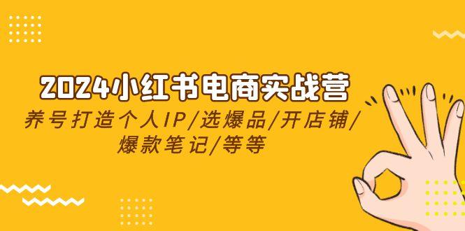 2024小红书电商实战营，养号打造IP/选爆品/开店铺/爆款笔记/等等(24节)-小艾项目网