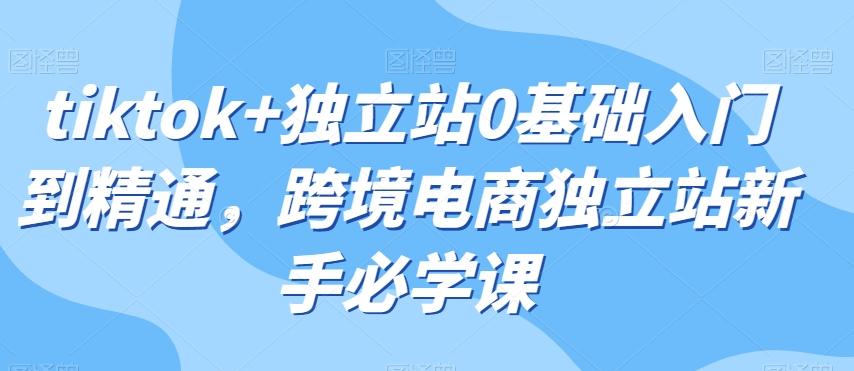 tiktok+独立站0基础入门到精通，跨境电商独立站新手必学课-小艾项目网