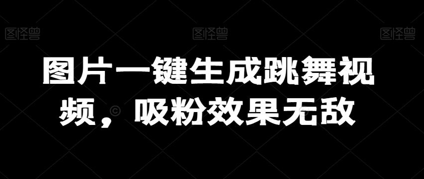 图片一键生成跳舞视频，吸粉效果无敌-小艾项目网