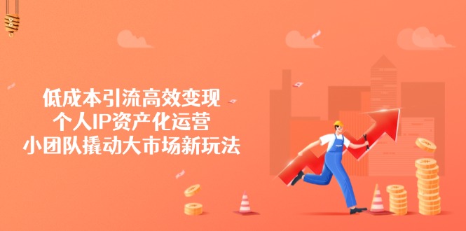 低成本引流高效变现，个人IP资产化运营，小团队撬动大市场新玩法-小艾项目网
