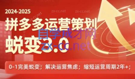 大力老师·2024拼多多运营策略蜕变3.0-小艾项目网