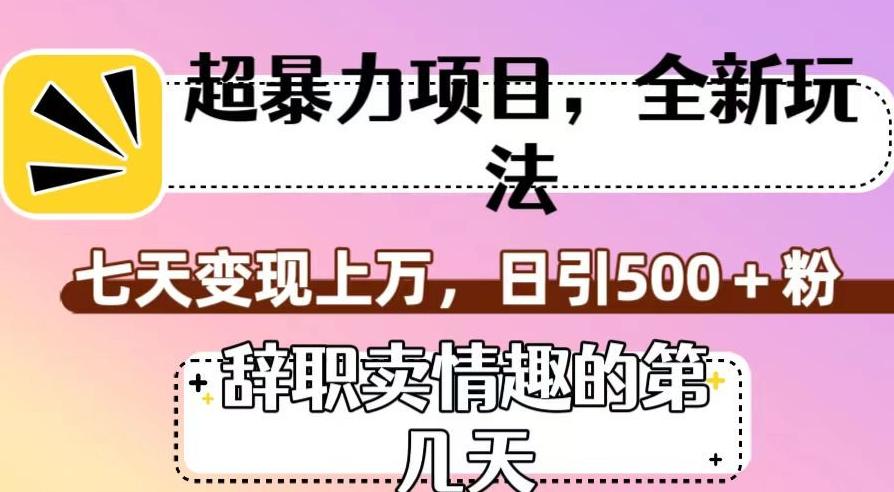 超暴利项目，全新玩法（辞职卖情趣的第几天），七天变现上万，日引500+粉【揭秘】-小艾项目网