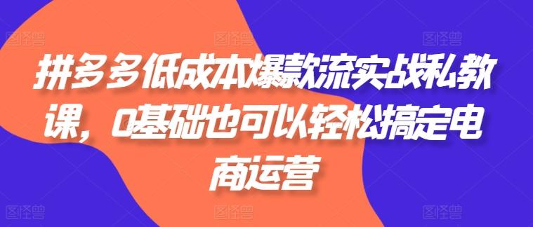 拼多多低成本爆款流实战私教课，0基础也可以轻松搞定电商运营-小艾项目网