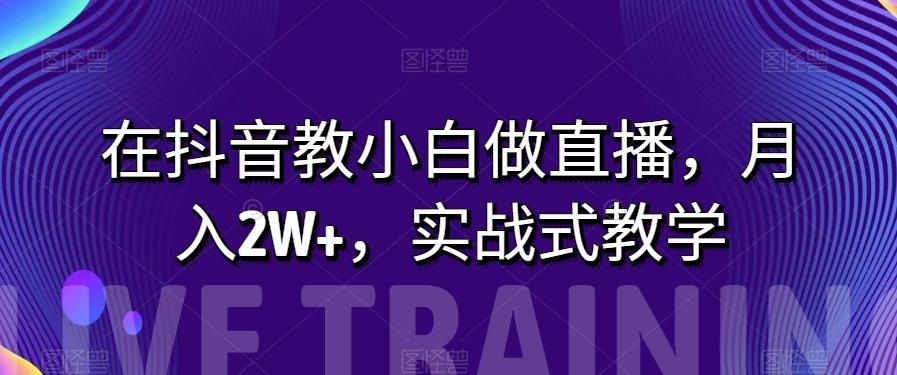 在抖音教小白做直播，月入2W+，实战式教学【揭秘】-小艾项目网
