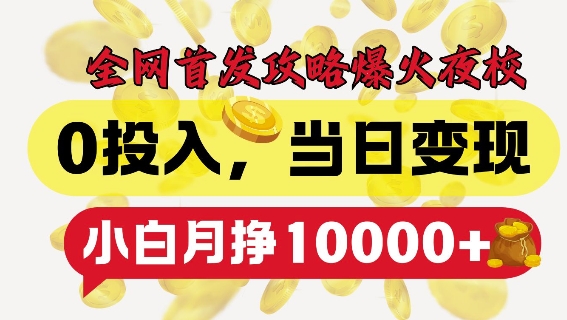 全网首发爆火夜校，0投入，当日变现，小白轻松月入1w+【揭秘】-小艾项目网