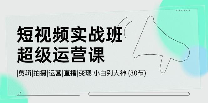短视频实战班超级运营课 |剪辑|拍摄|运营|直播|变现 小白到大神 (30节)-小艾项目网
