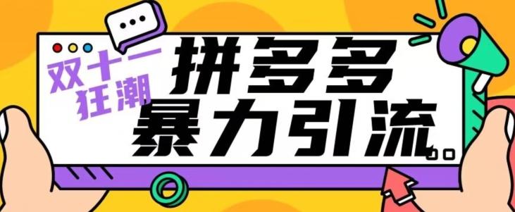 【首发】双十一拼多多暴力引流，日引300+微信-小艾项目网