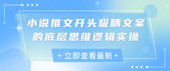 小说推文开头吸睛文案的底层思维逻辑实操-小艾项目网