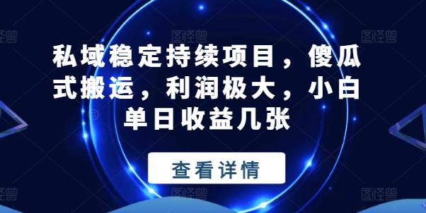 私域稳定持续项目，傻瓜式搬运，利润极大，小白单日收益几张【揭秘】-小艾项目网