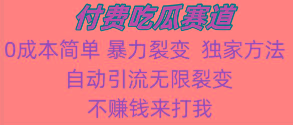 吃瓜付费赛道，暴力无限裂变，0成本，实测日入700+！！！-小艾项目网