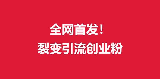 (全网首发)外面收费几千的裂变引流高质量创业粉-小艾项目网