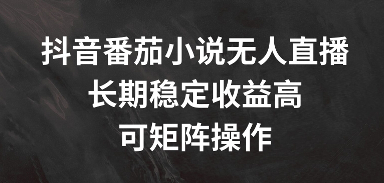 抖音番茄小说无人直播，长期稳定收益高，可矩阵操作【揭秘】-小艾项目网