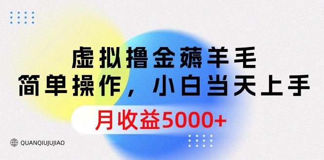 (9864期)虚拟撸金薅羊毛，简单操作，小白当天上手，月收益5000+-小艾项目网