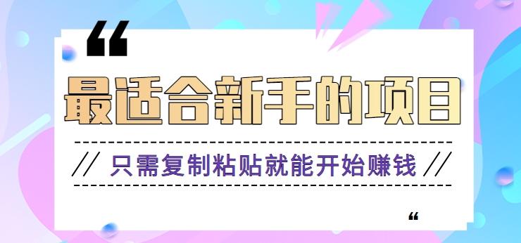 2024最适合新手操作的项目,新手小白只需复制粘贴就能开始赚钱【视频教程+软件】-小艾项目网