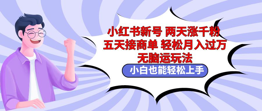 小红书新号两天涨千粉五天接商单轻松月入过万 无脑搬运玩法 小白也能轻...-小艾项目网