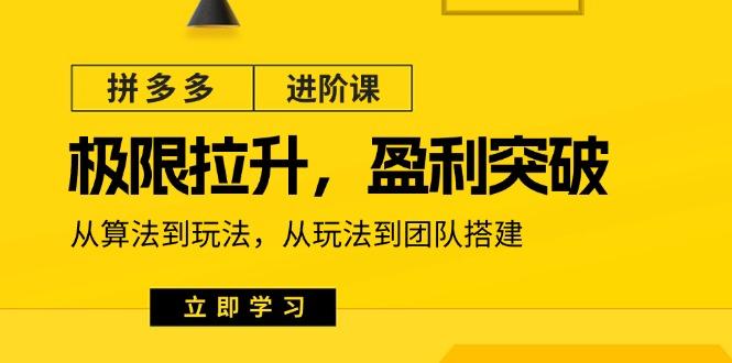 拼多多·进阶课：极限拉升/盈利突破：从算法到玩法 从玩法到团队搭建-18节-小艾项目网