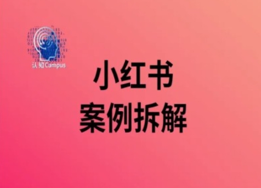 小红书案例拆解，深度解读小红书40万粉-小艾项目网