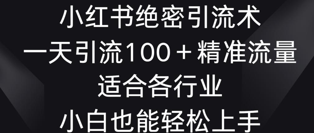 小红书绝密引流术，一天引流100+精准流量，适合各个行业，小白也能轻松上手【揭秘】-小艾项目网
