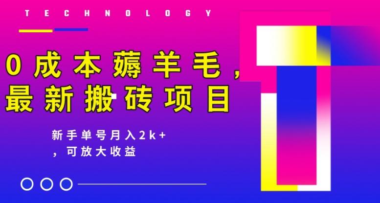 0成本薅羊毛，最新搬砖项目，新手单号月入2k+，可放大操作-小艾项目网