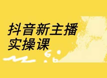 抖音新主播实操课，直播间流量运营线上实操课(18节)-小艾项目网