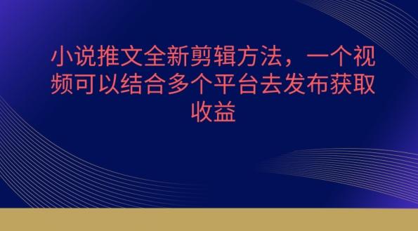 小说推文全新剪辑方法，一个视频可以结合多个平台去发布获取【揭秘】-小艾项目网