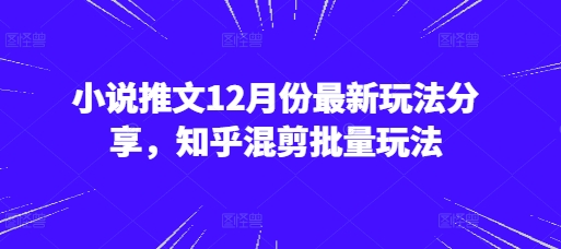 小说推文12月份最新玩法分享，知乎混剪批量玩法-小艾项目网