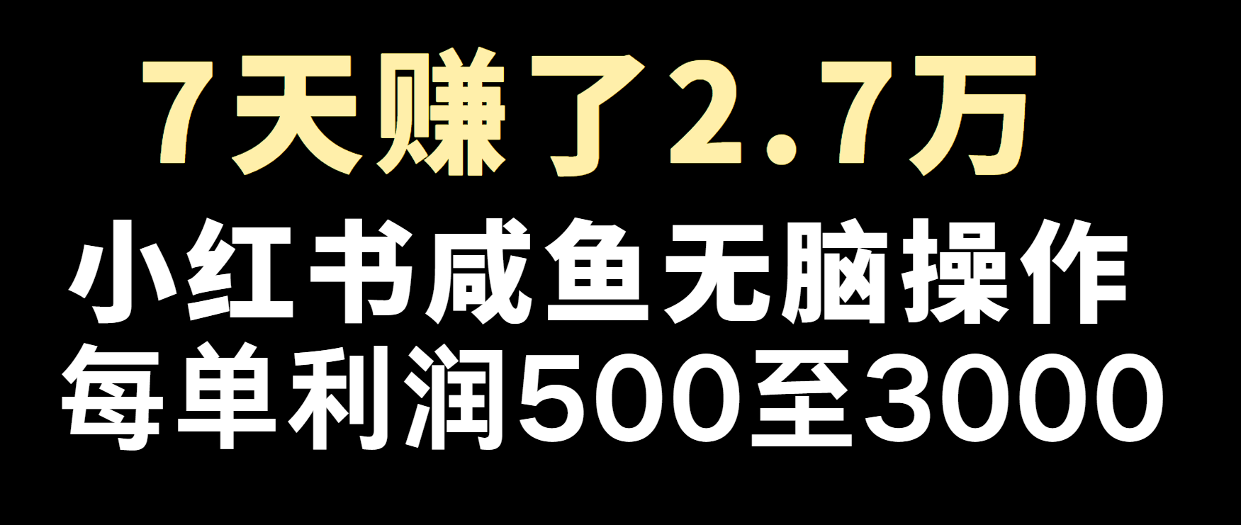 冷门暴利，超级简单的项目0成本玩法，每单在500至4000的利润-小艾项目网