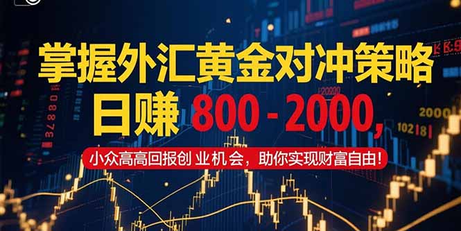 掌握外汇黄金对冲策略，日赚 800 - 2000，小众高回报创业机会，助你实...-小艾项目网