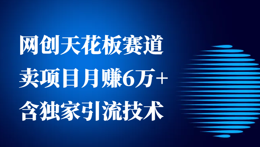 网创天花板赛道，卖项目月赚6万+，含独家引流技术(共26节课)-小艾项目网