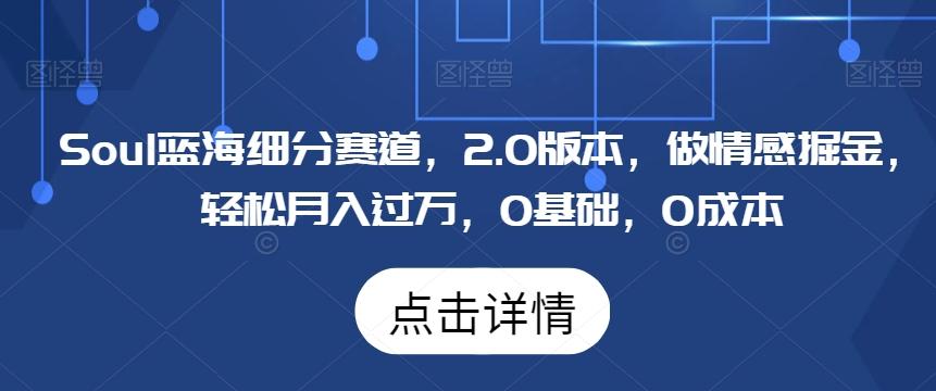 Soul蓝海细分赛道，2.0版本，做情感掘金，轻松月入过万，0基础，0成本-小艾项目网