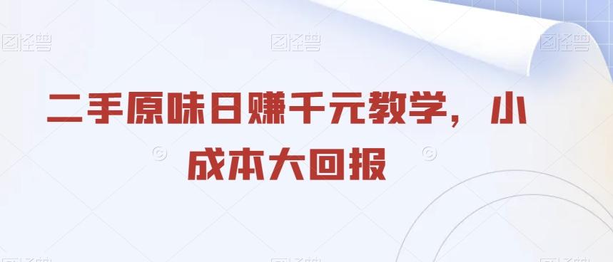 二手原味日赚千元教学，小成本大回报-小艾项目网
