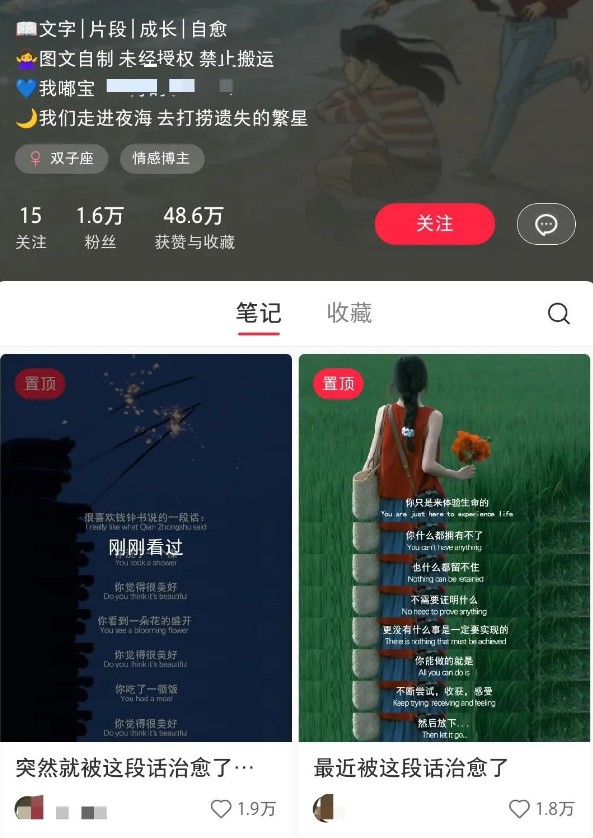 小红书治愈文案图文笔记,零门槛,一分钟制作轻松制作爆款作品月入万元-小艾项目网