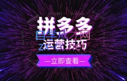 力辛电商·拼多多强付费店群玩法-小艾项目网