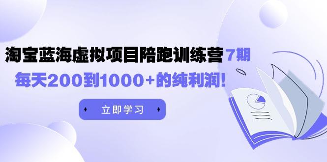 (9541期)黄岛主《淘宝蓝海虚拟项目陪跑训练营7期》每天200到1000+的纯利润-小艾项目网