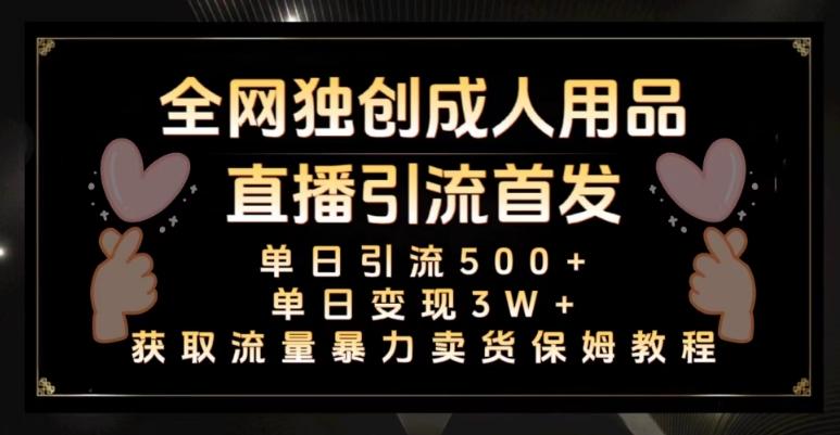全网独创真人主播+无人直播单日引流500+，橙人用品暴力卖货单日变现3W+保姆似教学2.0【揭秘】-小艾项目网