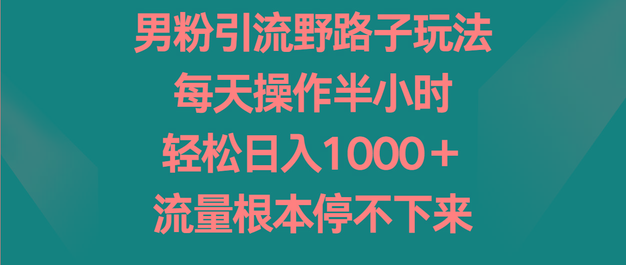 男粉引流野路子玩法,每天操作半小时轻松日入1000+,流量根本停不下来-小艾项目网