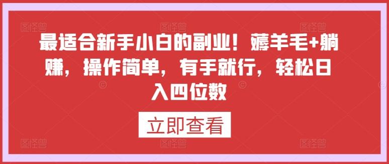 最适合新手小白的副业！薅羊毛+躺赚，操作简单，有手就行，轻松日入四位数【揭秘】-小艾项目网