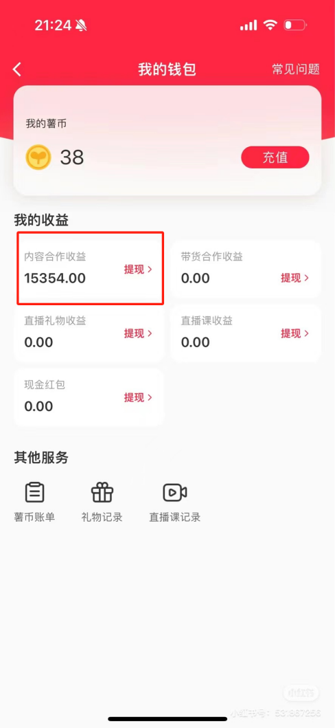 热门评论引爆小红书流量，作品制作简单，广告接到手软，月入过万不是梦-小艾项目网