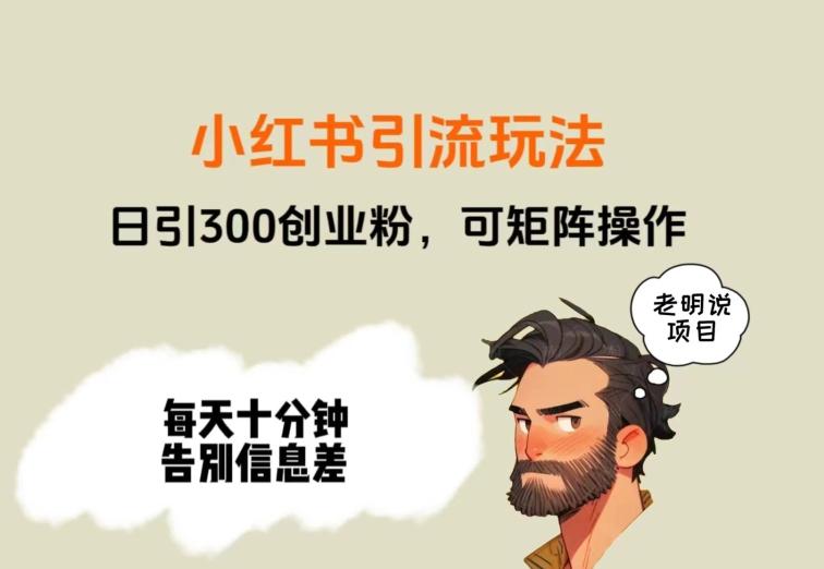 靠小红书视频日印300粉，两分钟一个视频轻松矩阵-小艾项目网