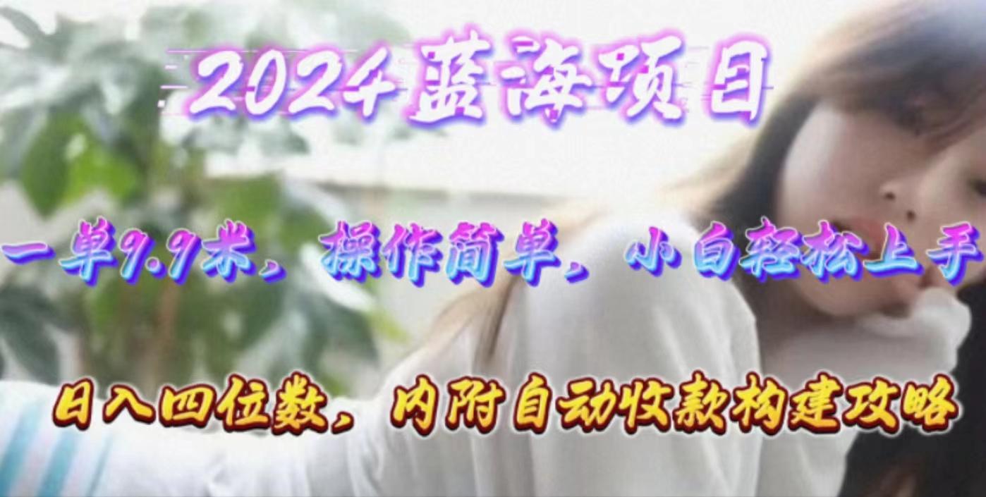年轻群体的蓝海市场，1单9.9元，操作简单，小白轻松上手，日入四位数-小艾项目网