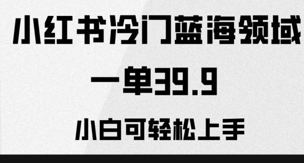 小红书冷门蓝海领域，一单39.9，小白可轻松上手-小艾项目网
