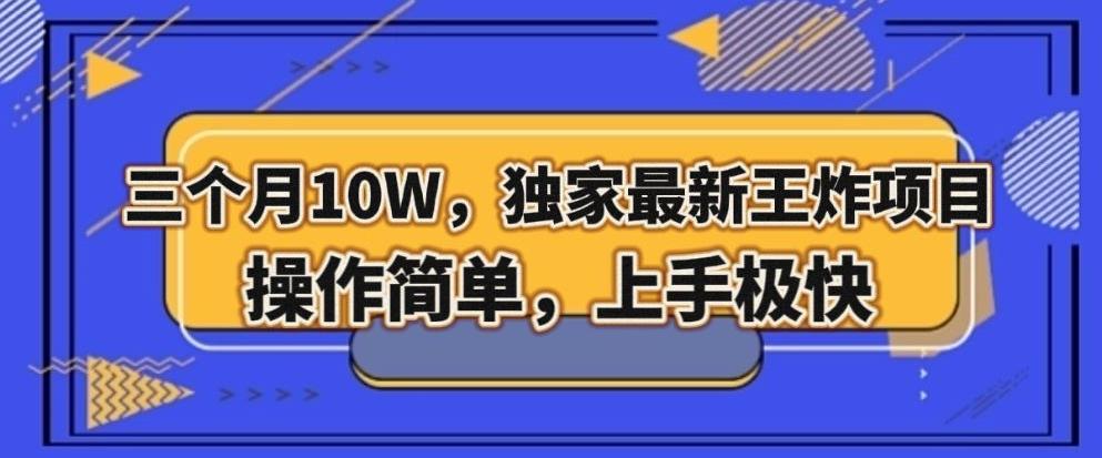 三个月10W，独家最新王炸项目！操作简单，上手极快【揭秘】-小艾项目网