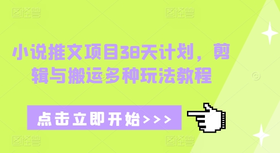 小说推文项目38天计划，剪辑与搬运多种玩法教程-小艾项目网