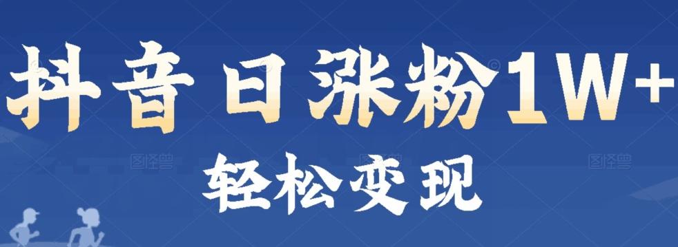 首发抖音新赛道日涨粉1W+轻松变现-小艾项目网