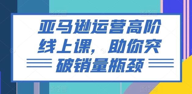亚马逊运营高阶线上课，助你突破销量瓶颈-小艾项目网